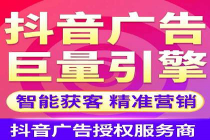 百度竞价代运营公司成功案例分析